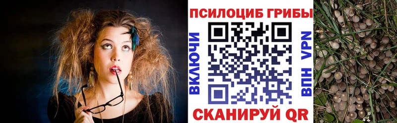 Псилоцибиновые грибы Psilocybe  Хасавюрт 